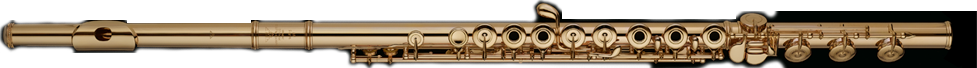 1995 Project: 24k Gold Flute